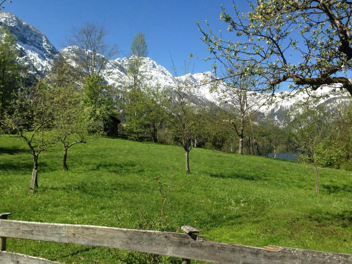 Chalet Ramsau 8 Bad Goisern Exterior photo